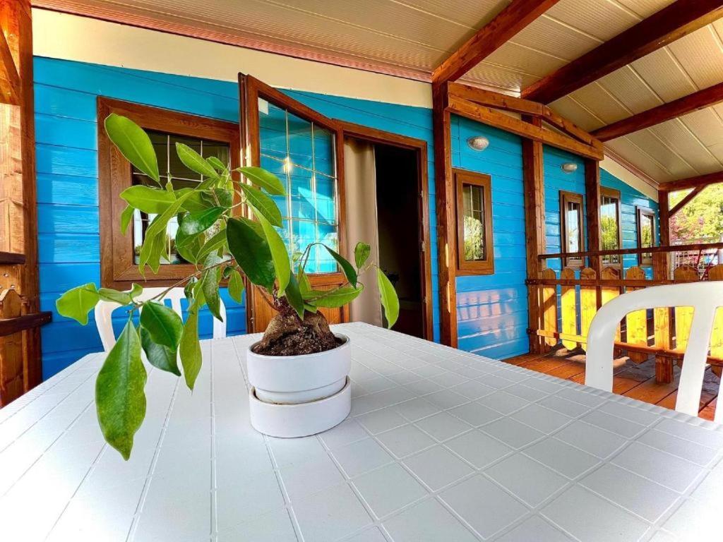Camping Village Tuscia Tirrenica Tarquinia Exterior foto
